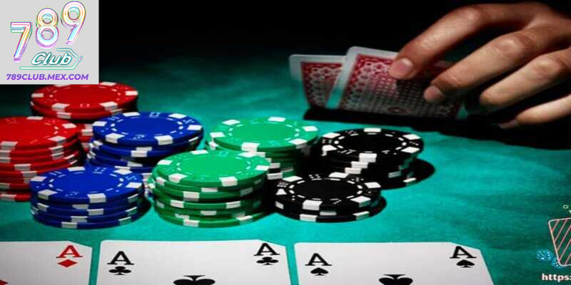 Catte nghĩa là gì?